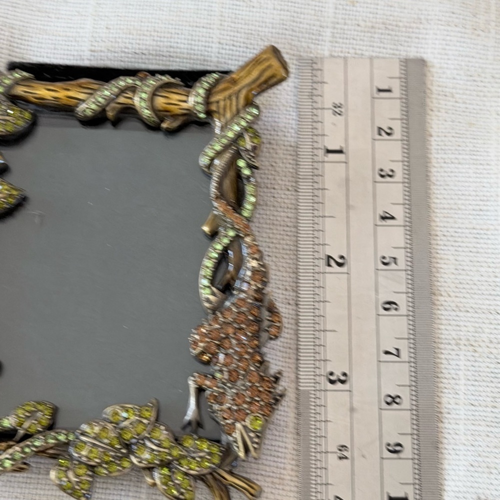 Two's Company Nature Reptile Dragonfly Lady Bug Flower Jewel Picture Photo Frame - Picture 11 of 13